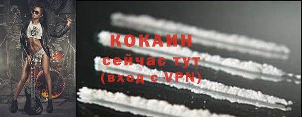 крисы Аркадак