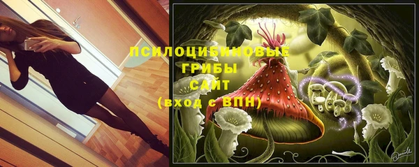 дмт Алексеевка